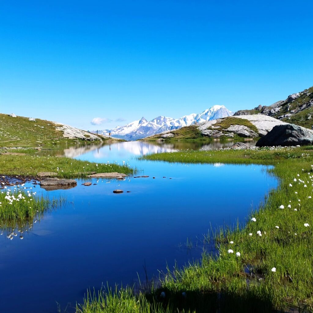 Le lac de moutons