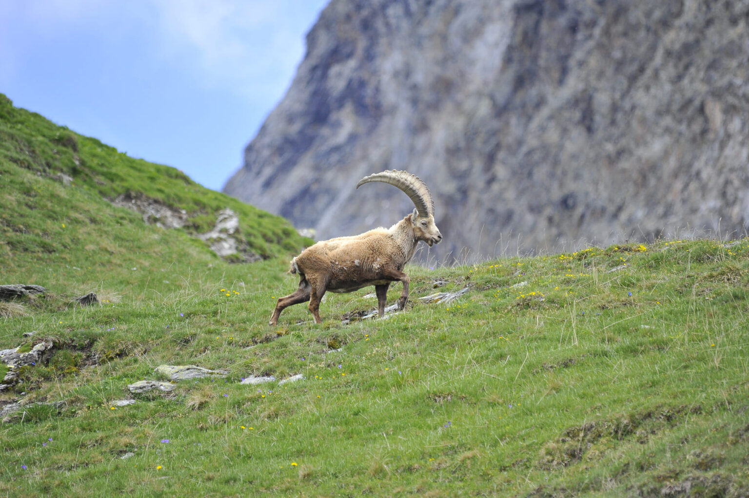 _DSC7019 copie 2