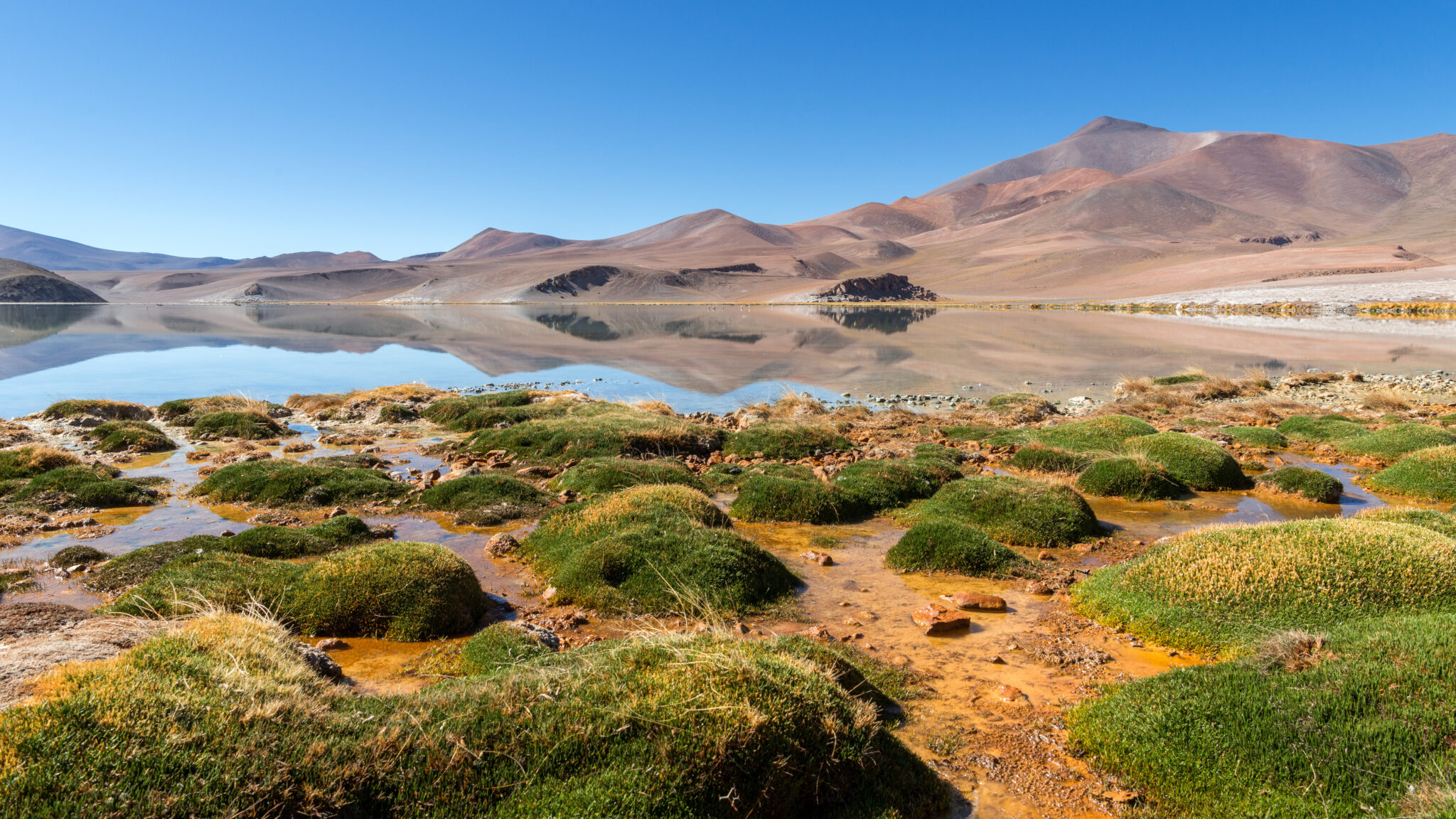 Lake Laguna Santa Rosa, Parque Nacional Nevado de Tres Cruces, Atacama desert, Chile
